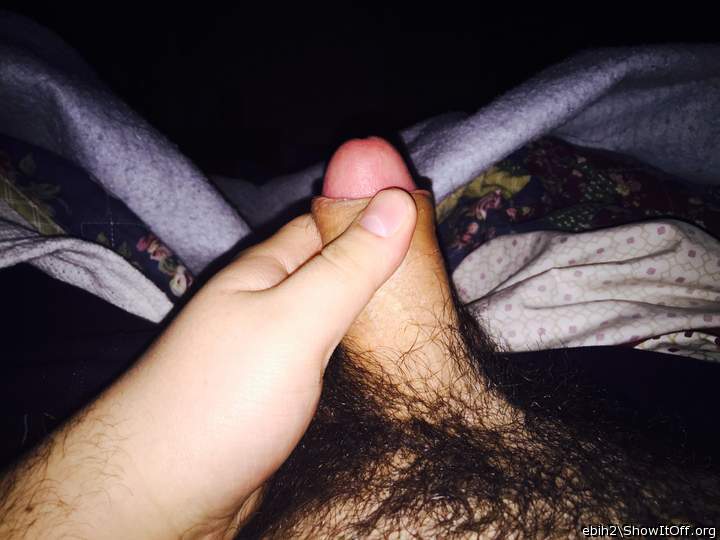 Adult image from Ebih2