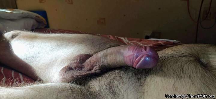 Adult image from Haralampi