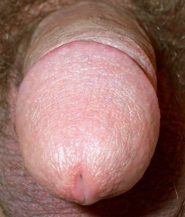 Adult image from lilsoftee