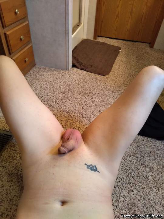 Adult image from Tazzy