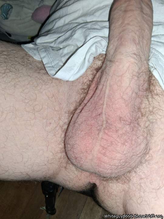 Adult image from Whiteguy8655