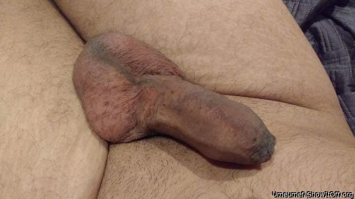 Adult image from umeumef