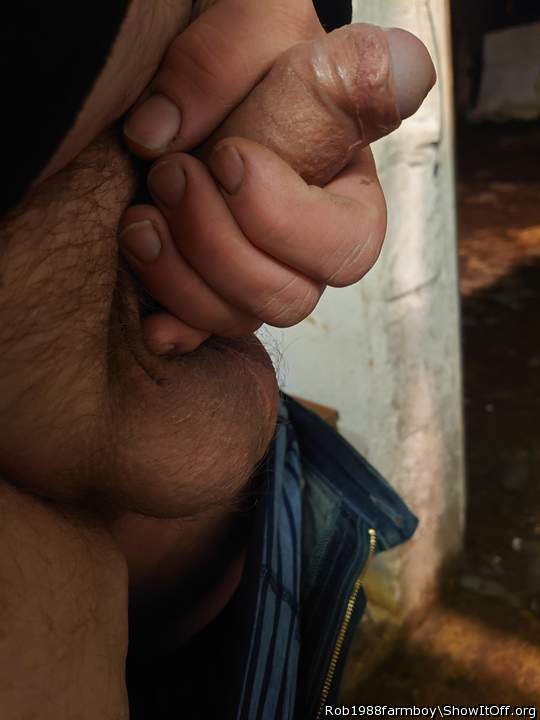 Adult image from Rob1988farmboy