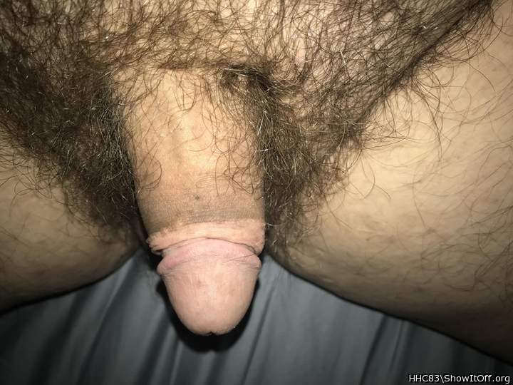 Adult image from HHC83