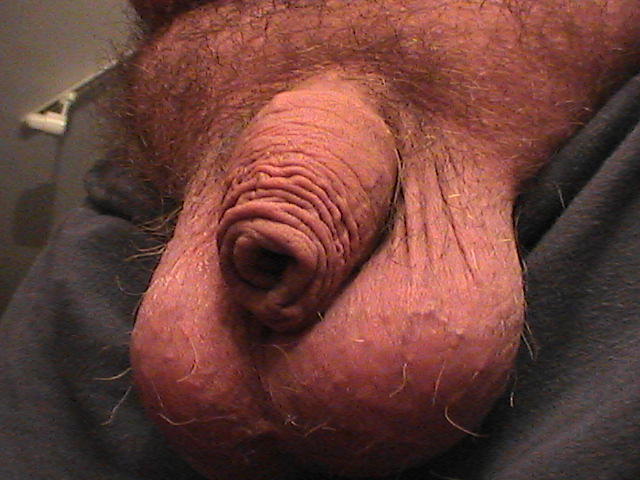 Adult image from Rocko