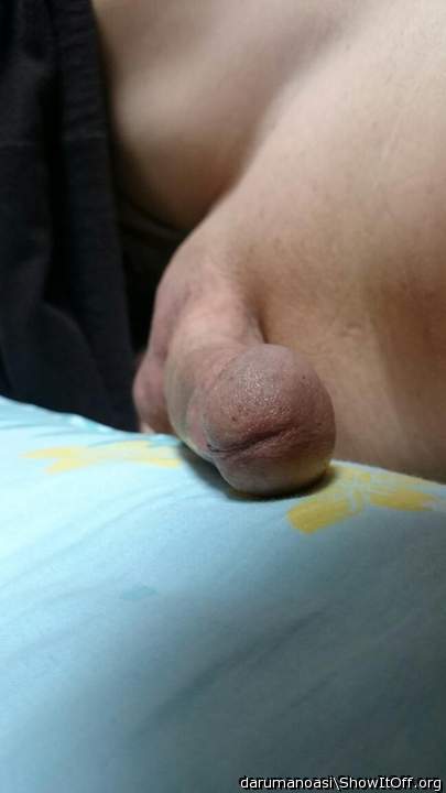Adult image from darumanoasi