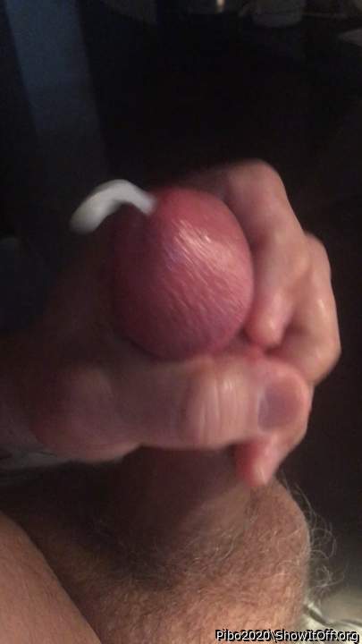 Adult image from Pibo2020
