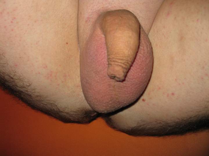 Very beautiful little cock  