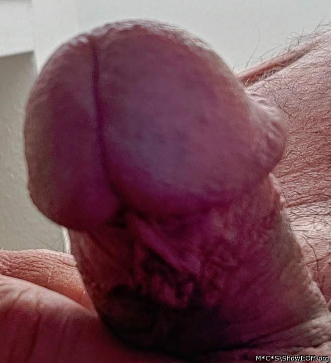 Adult image from M*C*S