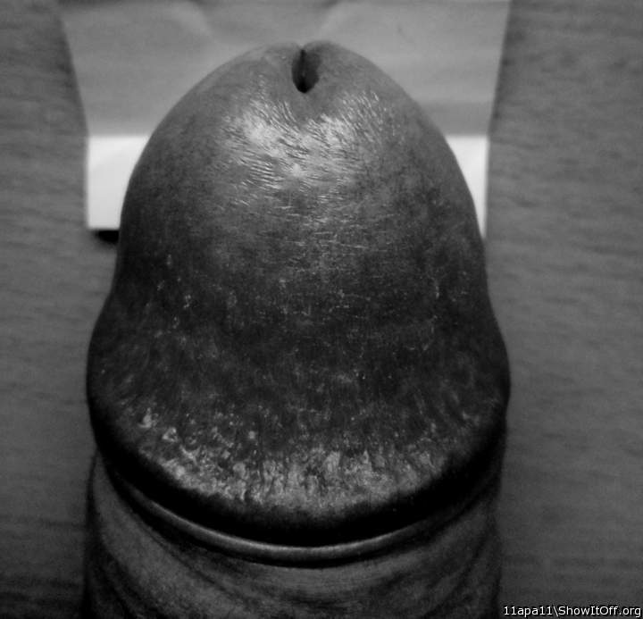 Adult image from 11apa11
