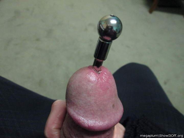 Adult image from megaplum