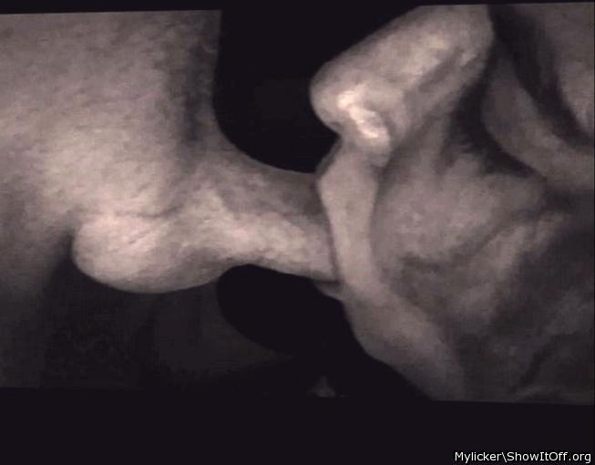 Adult image from Mylicker