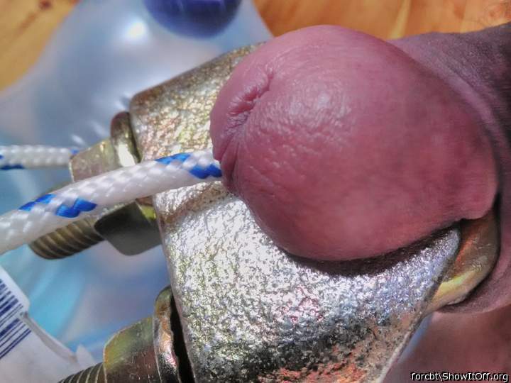 Adult image from forcbt