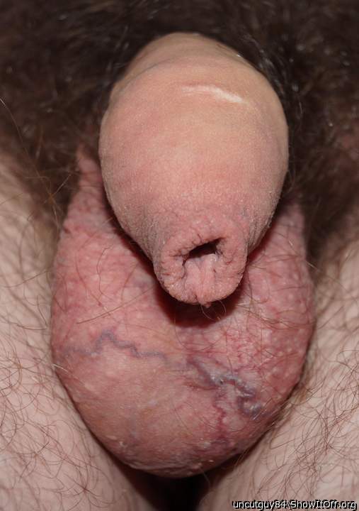 Adult image from uncutguy84