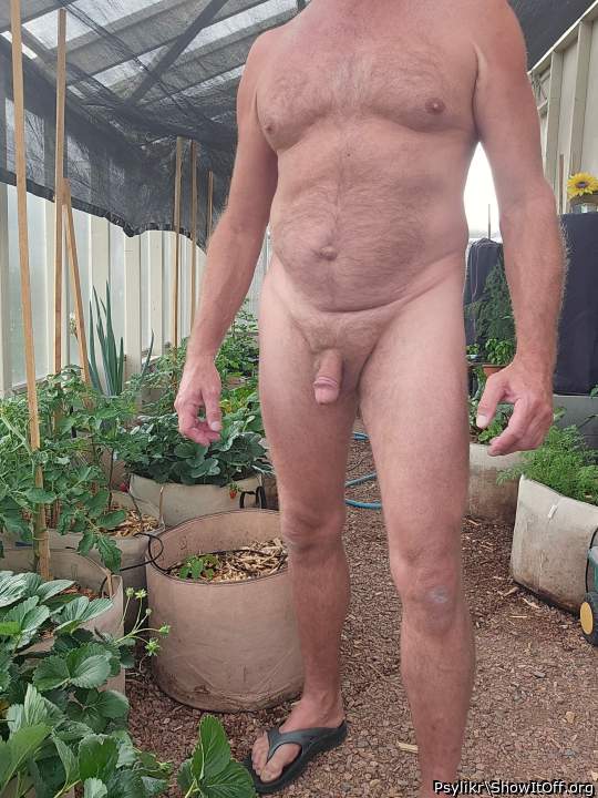 gardening