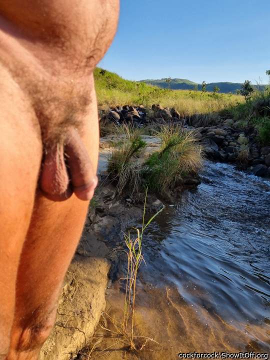 Adult image from cockforcock