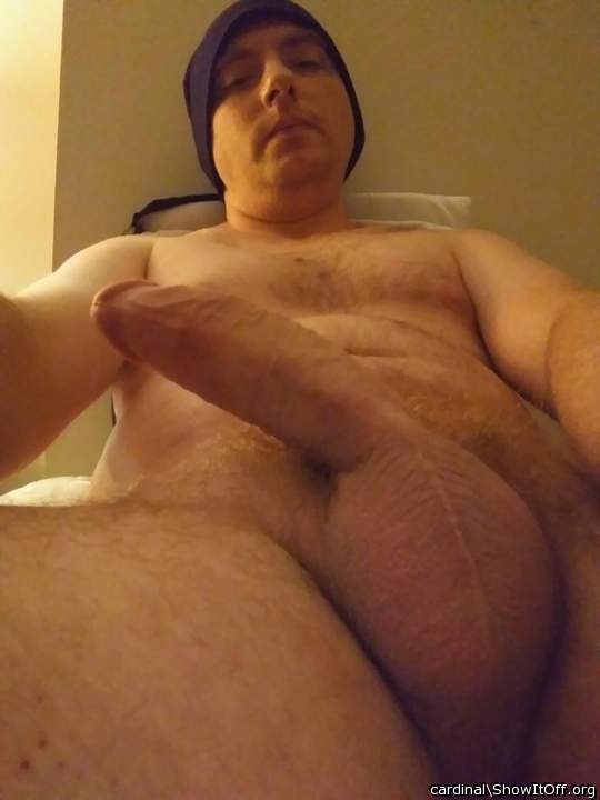 Adult image from cardinal