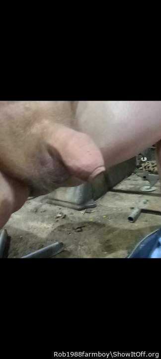 Adult image from Rob1988farmboy