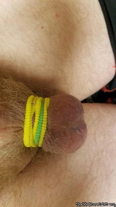 Adult image from 15x55