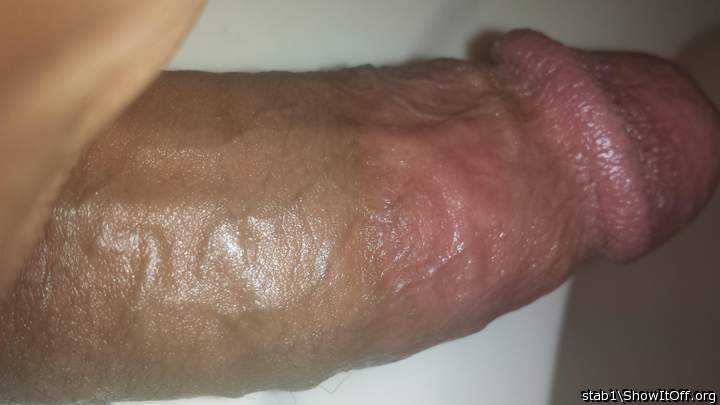 Adult image from stab1