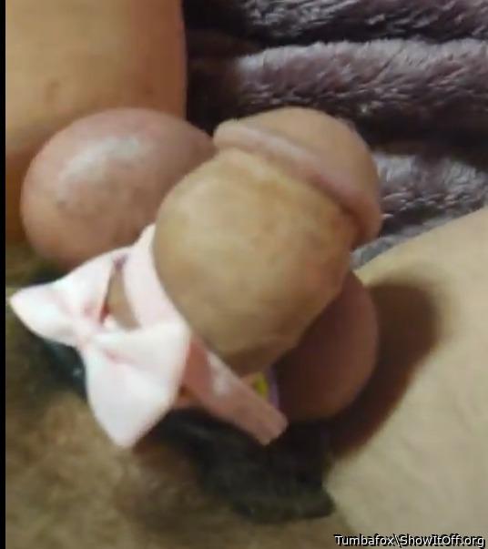 Adult image from Tumbafox