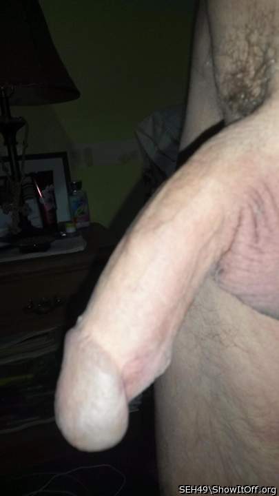 Adult image from SEH49