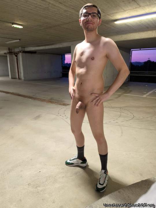 Adult image from UncutLizard