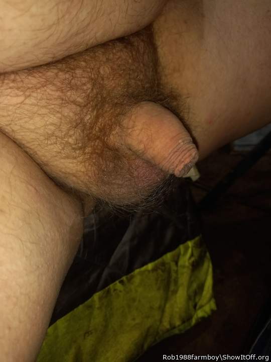 Adult image from Rob1988farmboy