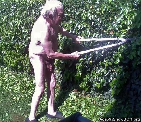 Adult image from Ade59
