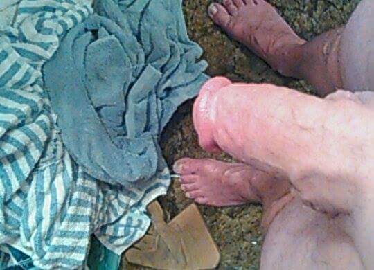 Adult image from fish4free