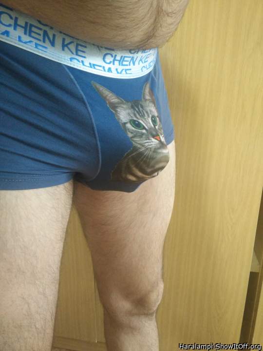Adult image from Haralampi