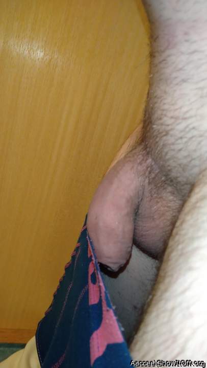 Adult image from Aaccee