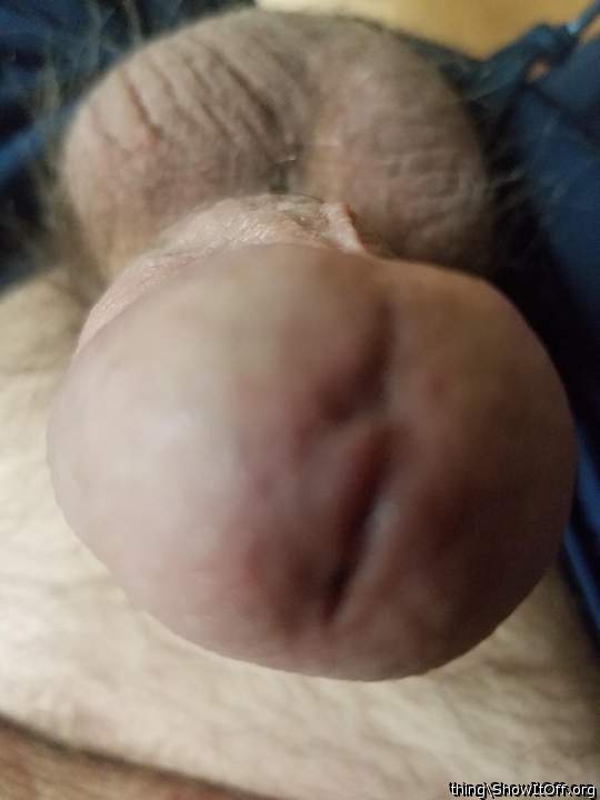 Friday morning wood