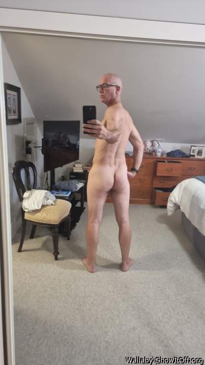 Adult image from Wallaby