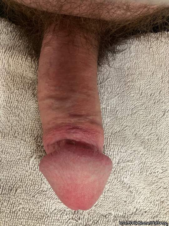 Adult image from Irish7X5