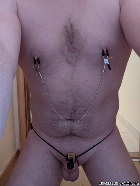 Adult image from 1596321