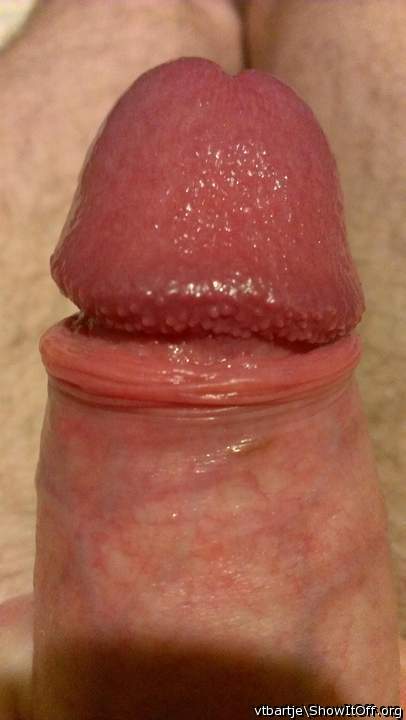 Adult image from vtbartje