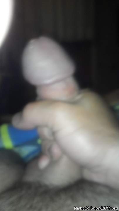 Adult image from Hammerhead