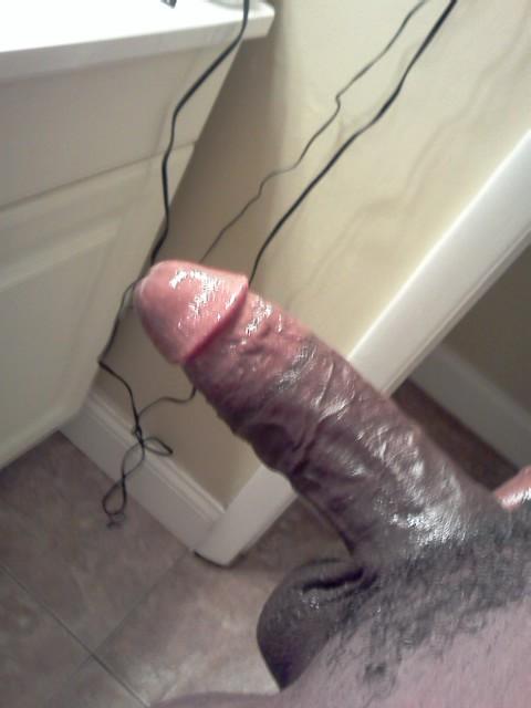 Adult image from Assman80