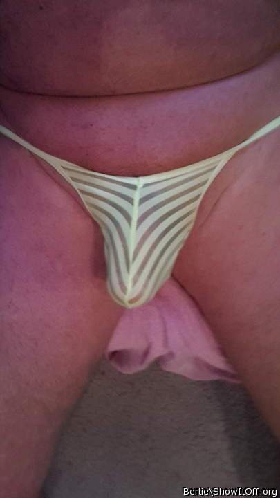 Adult image from Bertie