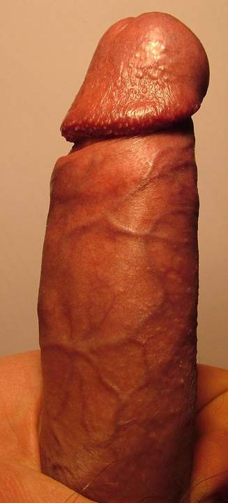Adult image from vtbartje