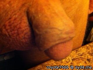 Adult image from coyote7666