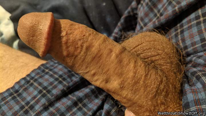 Adult image from Wetthroat