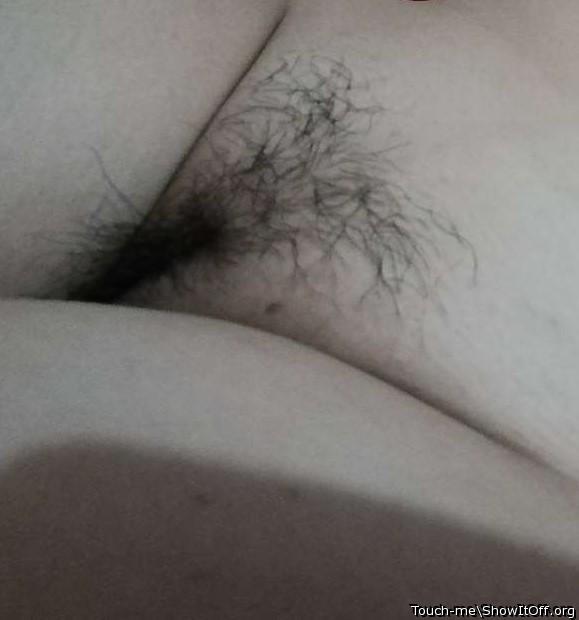 Sweet little hairy pussy.    