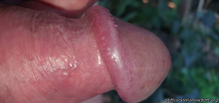 Adult image from Stiffcock59