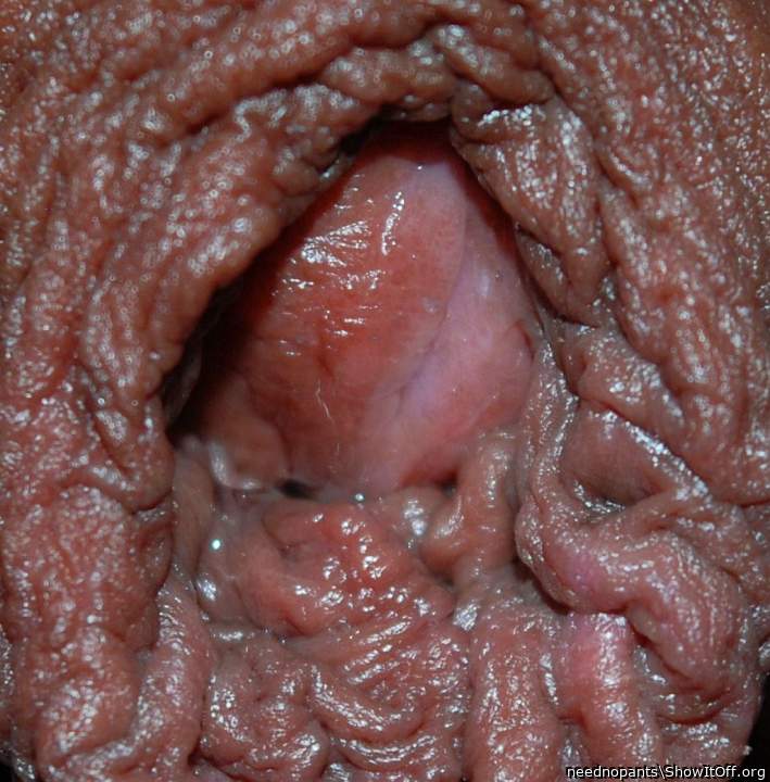 Adult image from neednopants