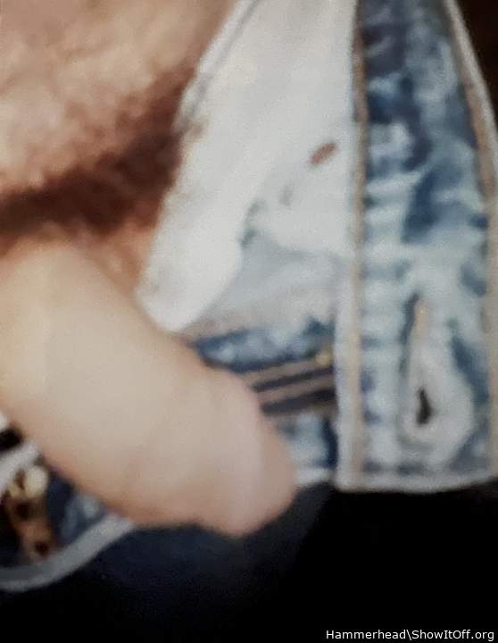 Adult image from Hammerhead