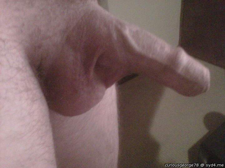 Adult image from curiousgeorge78