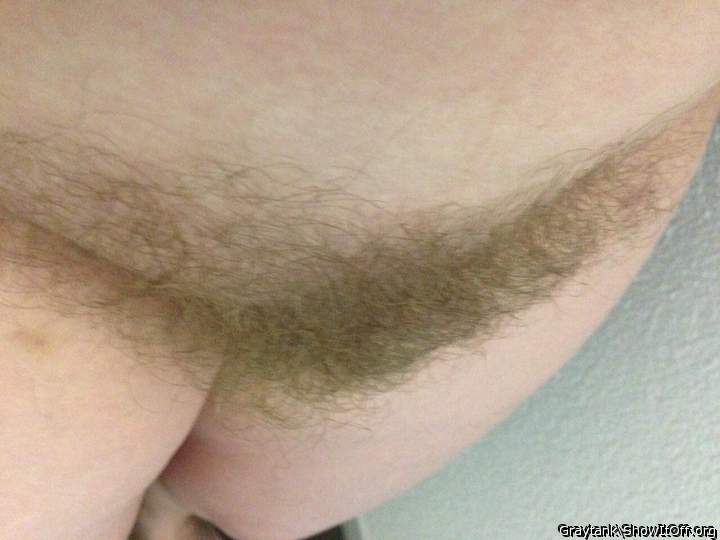Busch from M.