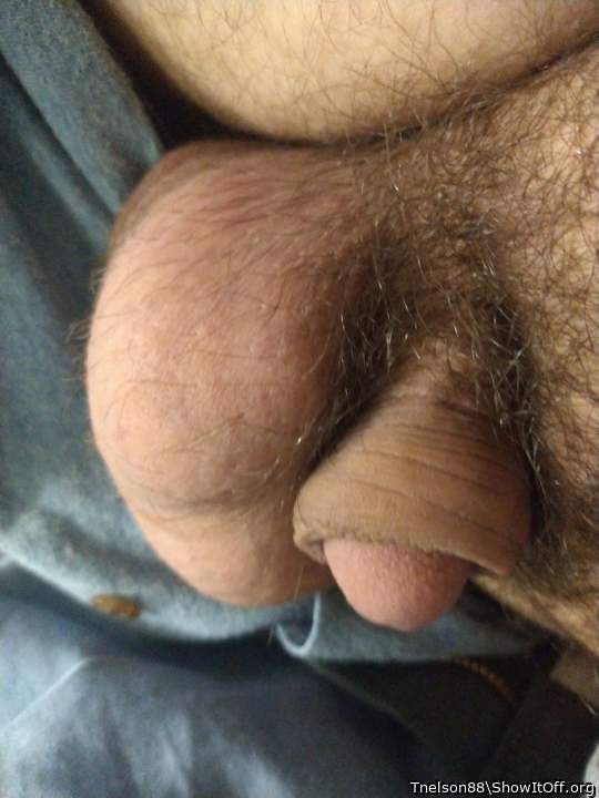 Adult image from Tnelson88